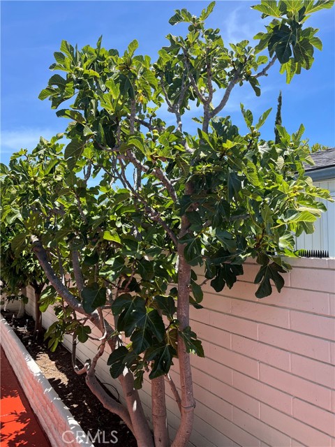 Detail Gallery Image 26 of 68 For 1787 San Pablo Dr, San Marcos,  CA 92078 - 2 Beds | 2 Baths