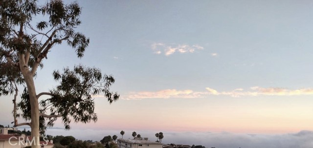 Marine layer. A cloud cover that blankets the ocean. Tippy top of Catalina visible under Eucalyptus tree