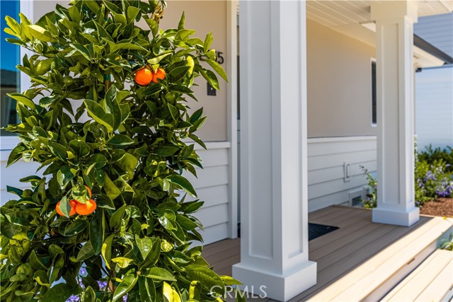 2134 Orange Avenue, Costa Mesa CA: https://media.crmls.org/medias/af51b613-91a5-4a8c-875a-d3023ebc4429.jpg