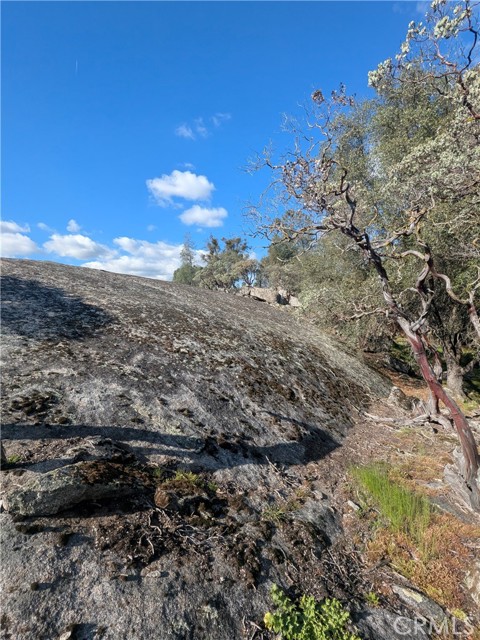 Detail Gallery Image 5 of 25 For 4181 Burl, Mariposa,  CA 95338 - – Beds | – Baths