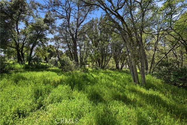 Detail Gallery Image 19 of 34 For 15560 20th Ave, Clearlake,  CA 95422 - 3 Beds | 2 Baths