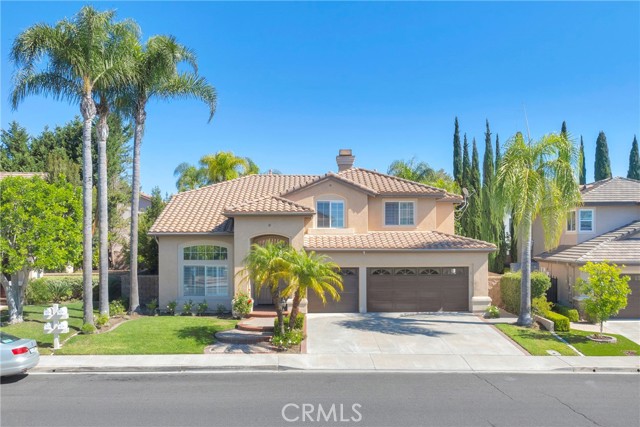 Front Image Thumbnail for CROC25234002