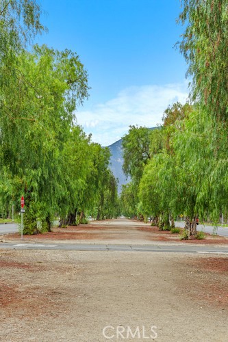 Af56Dc64 4A2C 48Fb 9D45 Becde8086725 1346 N Euclid Avenue, Upland, Ca 91786 &Lt;Span Style='BackgroundColor:transparent;Padding:0Px;'&Gt; &Lt;Small&Gt; &Lt;I&Gt; &Lt;/I&Gt; &Lt;/Small&Gt;&Lt;/Span&Gt;