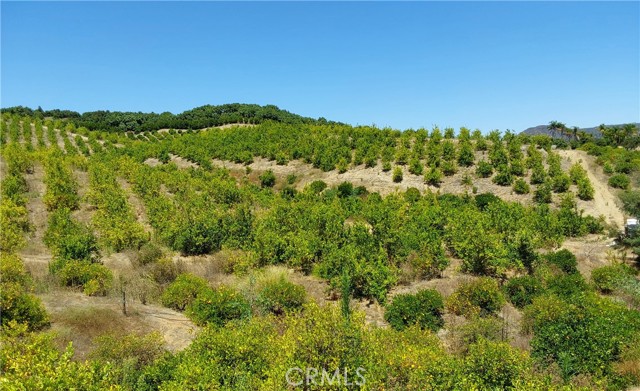 5 De Anza Road, Temecula CA: https://media.crmls.org/medias/af5a8511-a027-4ebc-a021-6fc2c8eb2310.jpg