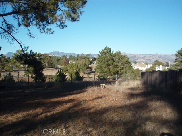 2540 Malvern Street, Cambria, California 93428, ,Land,For Sale,2540 Malvern Street,CRSC20002808