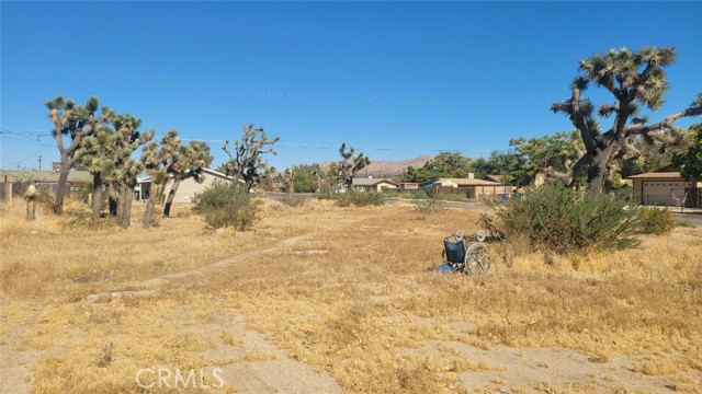 Detail Gallery Image 1 of 1 For 0 Tamarisk Ave, Yucca Valley,  CA 92284 - – Beds | – Baths