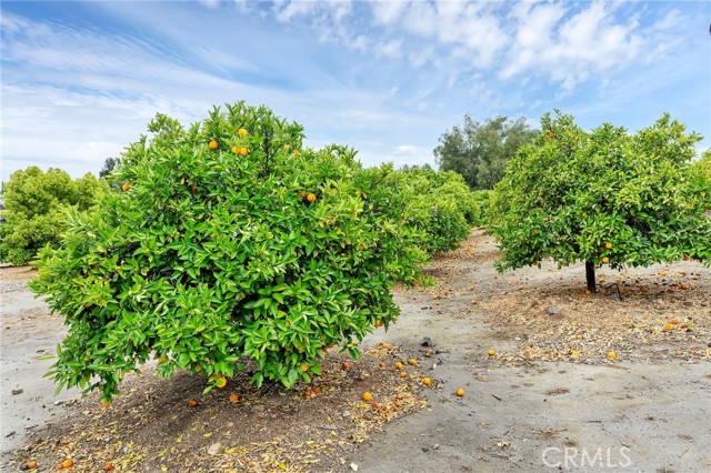 Detail Gallery Image 19 of 19 For 24800 Cornstalk Rd., Wildomar,  CA 92595 - 3 Beds | 2 Baths