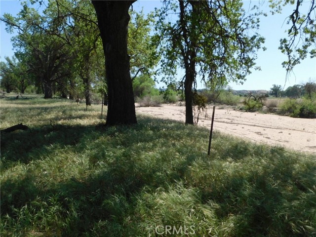 Detail Gallery Image 33 of 71 For 6675 Webster Rd, Creston,  CA 93432 - – Beds | – Baths