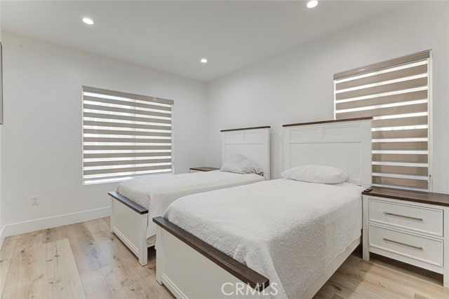 6206 Camellia photo 15