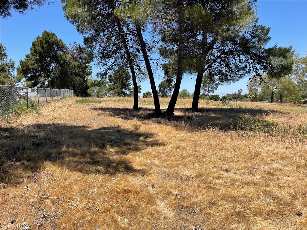 Linda Vista Drive - photo 16