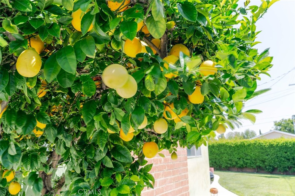 https://media.crmls.org/medias/af7cb21f-15cf-4e9b-a636-393d82101b42.jpg?preset=X-Large
