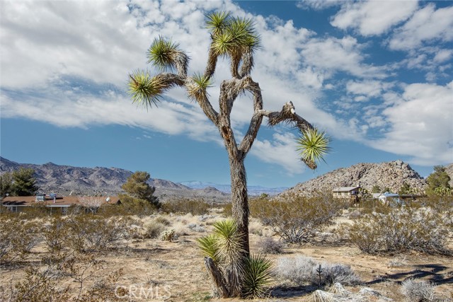 8776 Uphill Road, Joshua Tree, California 92252, ,Land,For Sale,8776 Uphill Road,CRJT23003315