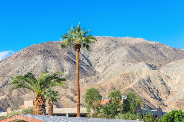 Detail Gallery Image 42 of 48 For 72794 Rancho Grande Dr, Palm Desert,  CA 92260 - 3 Beds | 2 Baths