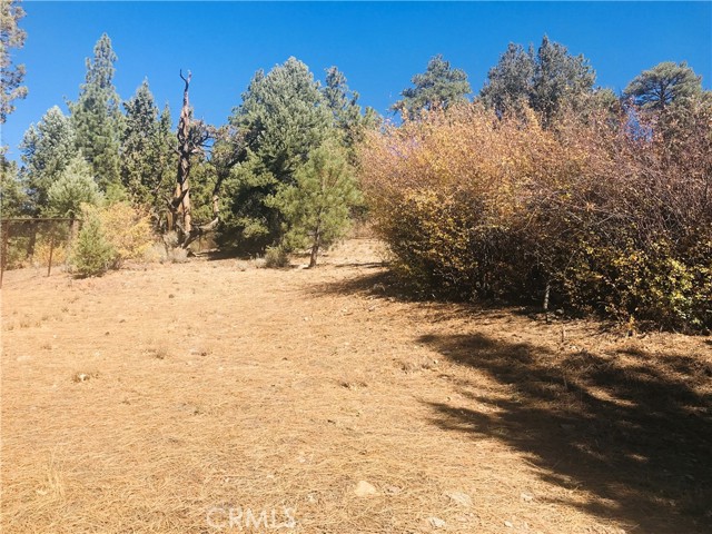 0 Sheephorn Rd, Big Bear City, California 92315, ,Land,For Sale,0 Sheephorn Rd,CRIG21227250