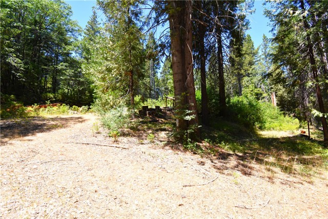 94 Weiss Hill Road, Oroville, CA, 95966 94 Weiss Hill Road, Oroville, CA, 95966
