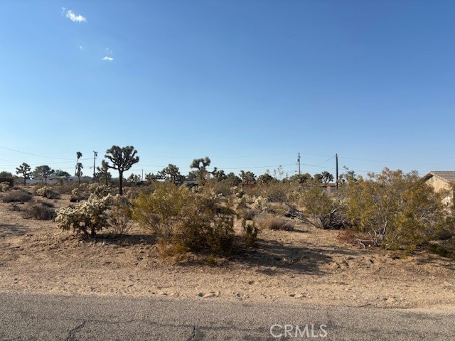 MLS #JT25181795 image #3