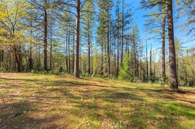 Detail Gallery Image 24 of 52 For 179 Elams Ranch, Oroville,  CA 95966 - 1 Beds | 1 Baths