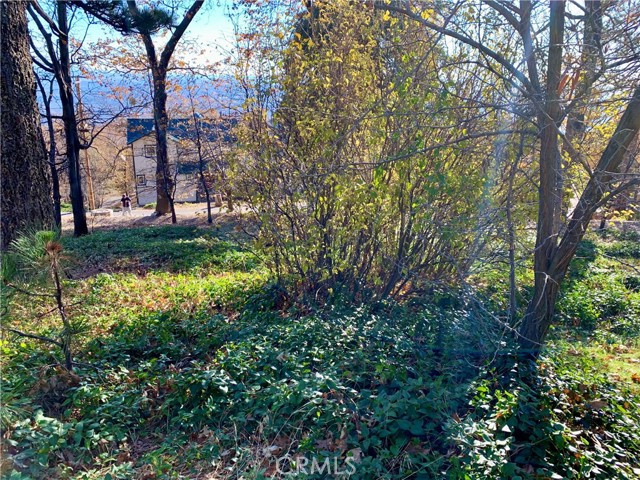 Detail Gallery Image 14 of 21 For 40 Park, Running Springs,  CA 92382 - – Beds | – Baths