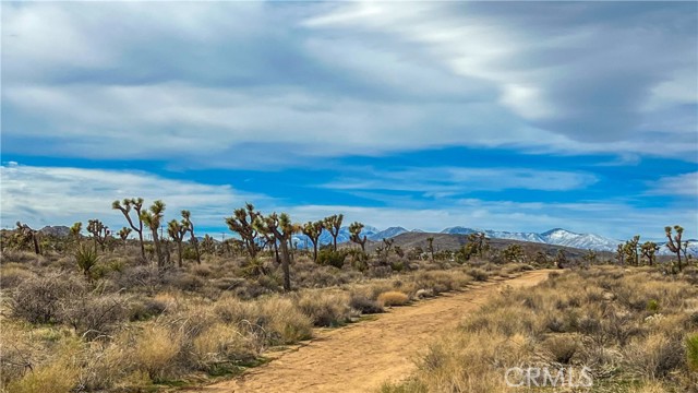 Detail Gallery Image 30 of 32 For 4824 Elata Ave, Yucca Valley,  CA 92284 - – Beds | – Baths