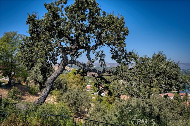 Detail Gallery Image 7 of 38 For 23207 Park Esperanza, Calabasas,  CA 91302 - 5 Beds | 4/1 Baths