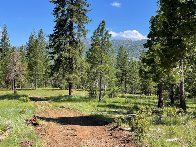 Detail Gallery Image 3 of 20 For 2964 Triangle Rd, Mariposa,  CA 95338 - – Beds | – Baths