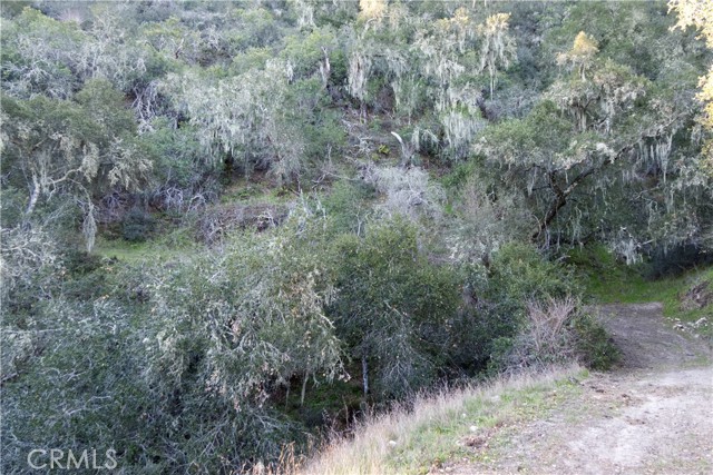 Detail Gallery Image 18 of 18 For 0 Huasna Rd, Arroyo Grande,  CA 93420 - – Beds | – Baths