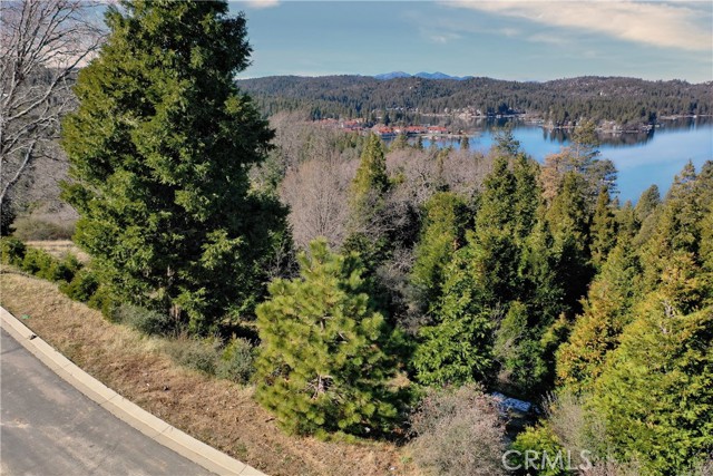 Detail Gallery Image 8 of 31 For 149 Mill Pond Rd, Lake Arrowhead,  CA 92352 - – Beds | – Baths