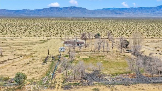 Detail Gallery Image 51 of 69 For 47424 Paddington, Landers,  CA 92285 - 2 Beds | 2 Baths