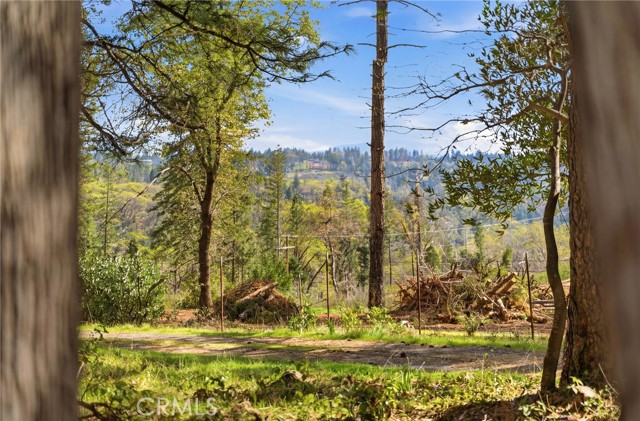 Image 43 of 49 For 13730 Nimshew Road