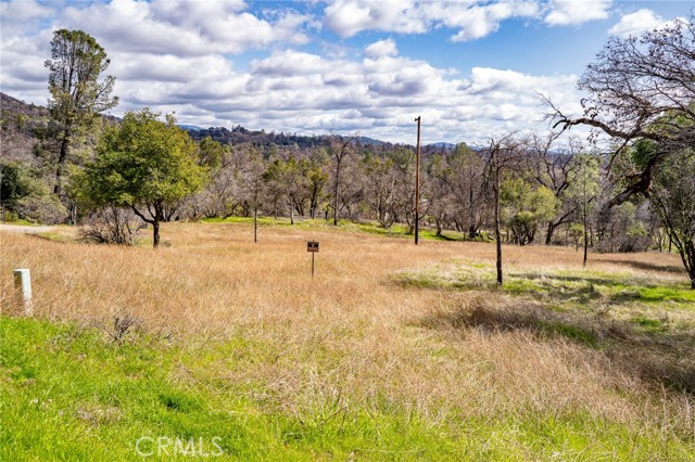 Detail Gallery Image 44 of 55 For 6096 Carter Rd, Mariposa,  CA 95338 - 3 Beds | 2 Baths