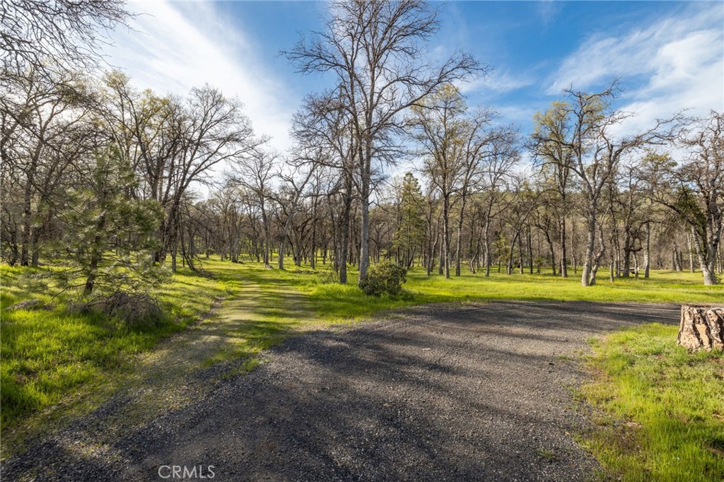 MLS #MP25083709 image #15