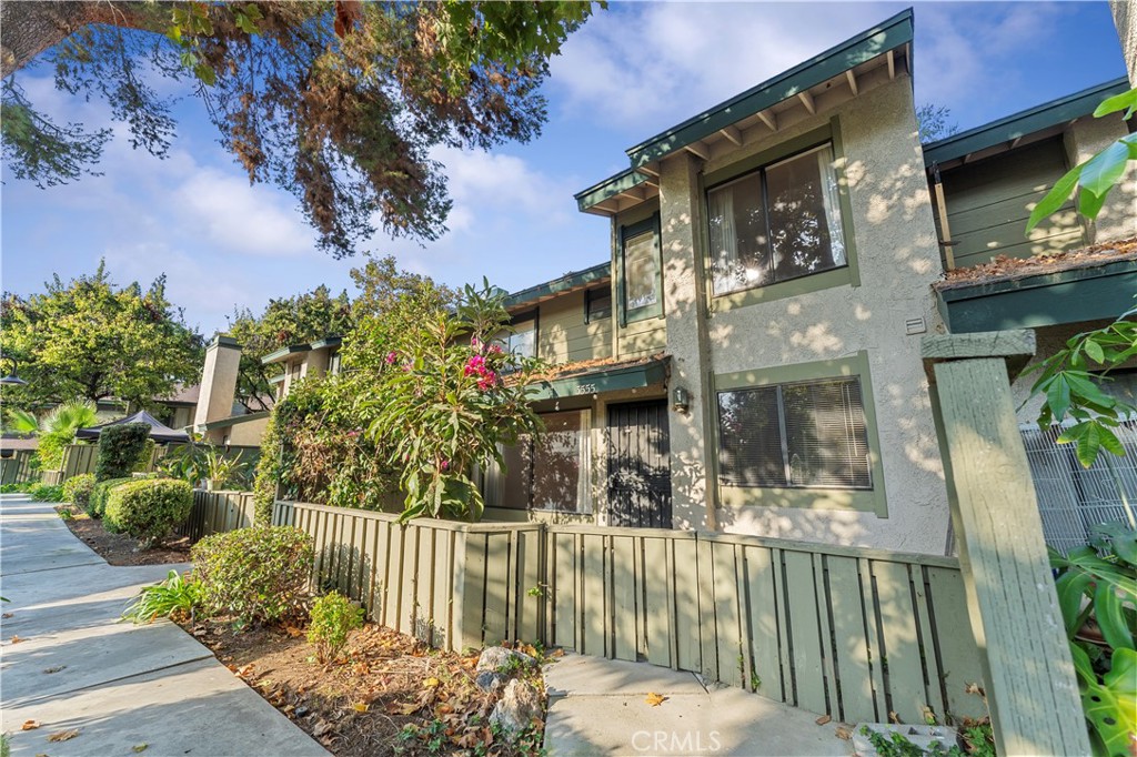3555 Bottlebrush
