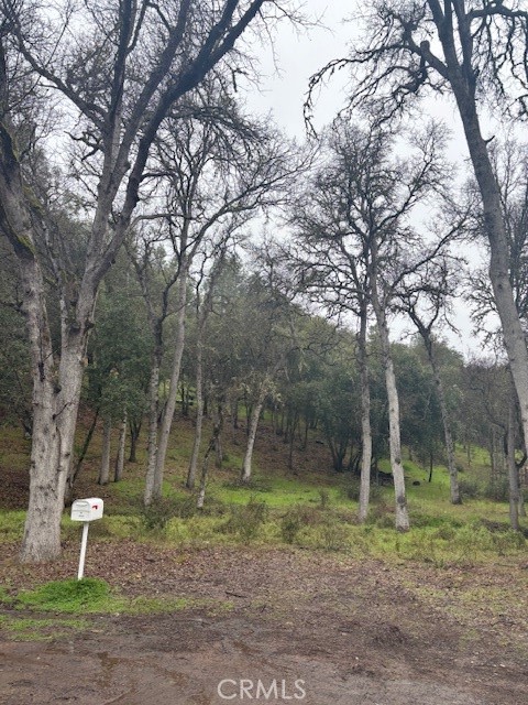 Detail Gallery Image 6 of 6 For 5877 Armijo, Clearlake,  CA 95422 - – Beds | – Baths