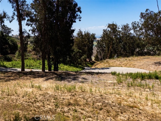 0 0 Castle Bluff Rd., Arroyo Grande CA: https://media.crmls.org/medias/afb6674e-9ffd-45b1-b332-5d575fd8dc09.jpg