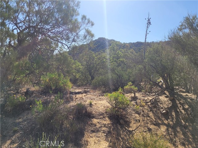 Detail Gallery Image 26 of 30 For 0 Thunder Rd, Anza,  CA 92539 - – Beds | – Baths