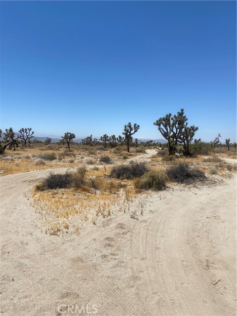 0 Vac/vic Avenue R8/120th, Littlerock, CA, 93543 0 Vac/vic Avenue R8/120th, Littlerock, CA, 93543