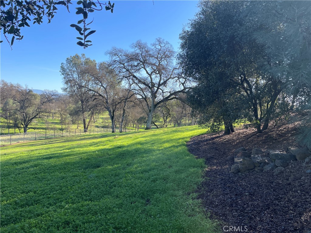 https://media.crmls.org/medias/afbca767-ff52-40b6-af9f-0555ed6c9707.jpg?preset=X-Large