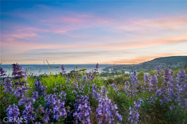 Detail Gallery Image 3 of 42 For 825 Coast View Dr, Laguna Beach,  CA 92651 - 3 Beds | 3/1 Baths