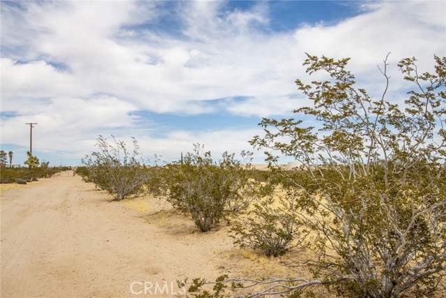 4225 Benji Avenue, Joshua Tree, California 92252, ,Land,For Sale,4225 Benji Avenue,CRJT23182225