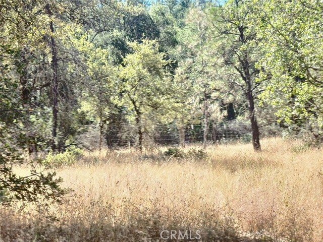 Detail Gallery Image 4 of 21 For 48 Rices Texas Hill Rd, Oregon House,  CA 95962 - – Beds | – Baths