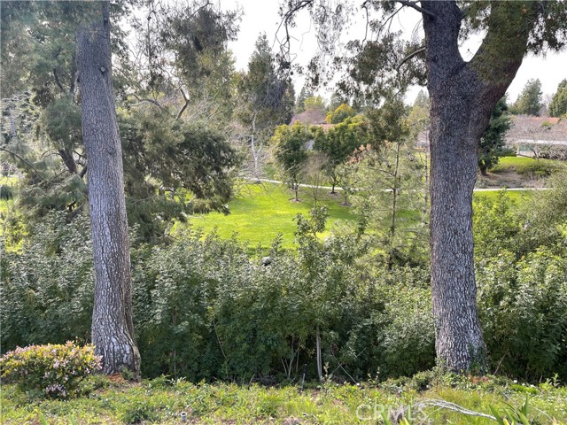 Detail Gallery Image 31 of 32 For 638 Avenida Sevilla #B,  Laguna Woods,  CA 92637 - 2 Beds | 2 Baths