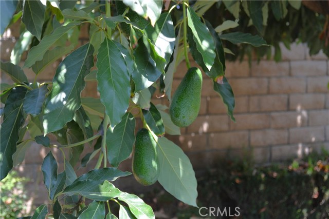 Detail Gallery Image 60 of 67 For 415 S Grandin Ave, Azusa,  CA 91702 - 3 Beds | 1 Baths