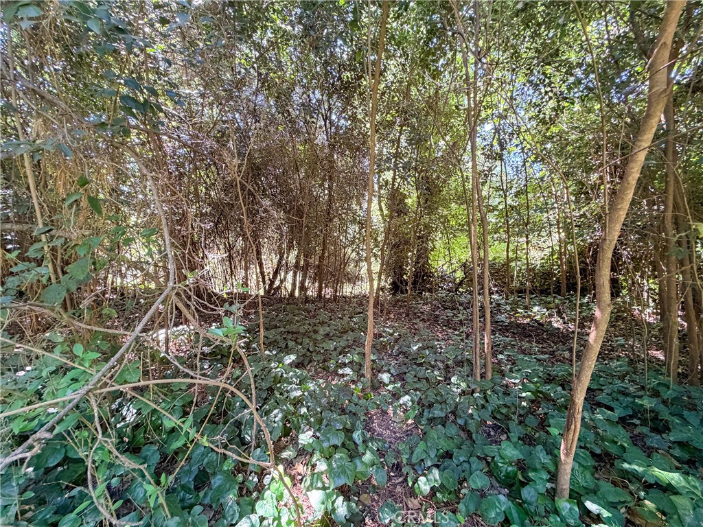https://media.crmls.org/medias/afce1891-ed7c-4fce-8629-07b829b36830.jpg?preset=X-Large