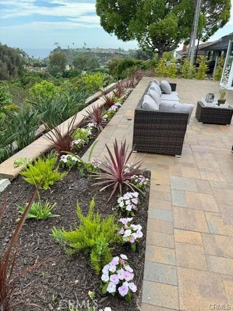 MLS #NP25234245 image #25