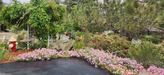 Detail Gallery Image 54 of 57 For 5180 Lone Pine Canyon, Wrightwood,  CA 92397 - 4 Beds | 2 Baths