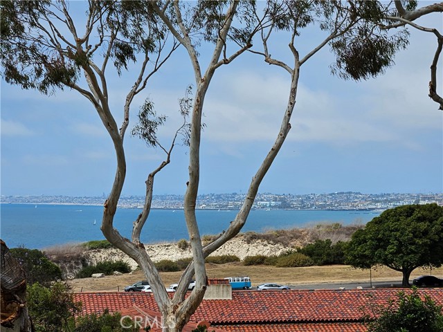 364 Via Almar, Palos Verdes Estates CA: https://media.crmls.org/medias/afd39b61-8cb7-41b2-8fd7-71c5105c166f.jpg