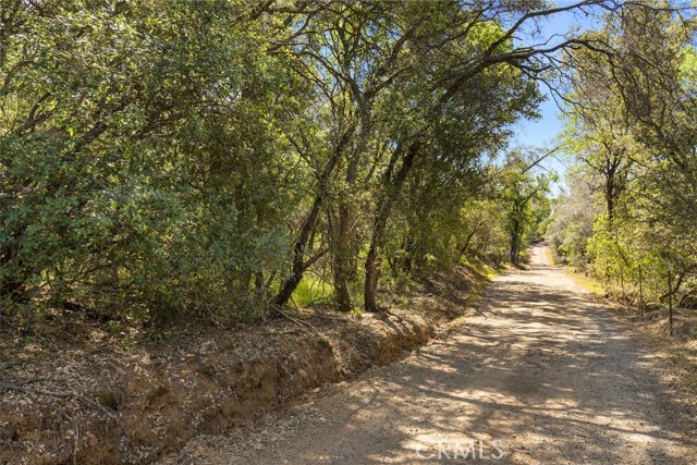 Detail Gallery Image 14 of 20 For 0 Louise, Oroville,  CA 95965 - – Beds | – Baths