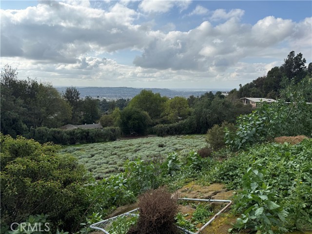 Detail Gallery Image 2 of 6 For 707 Dorothea, La Habra Heights,  CA 90631 - – Beds | – Baths