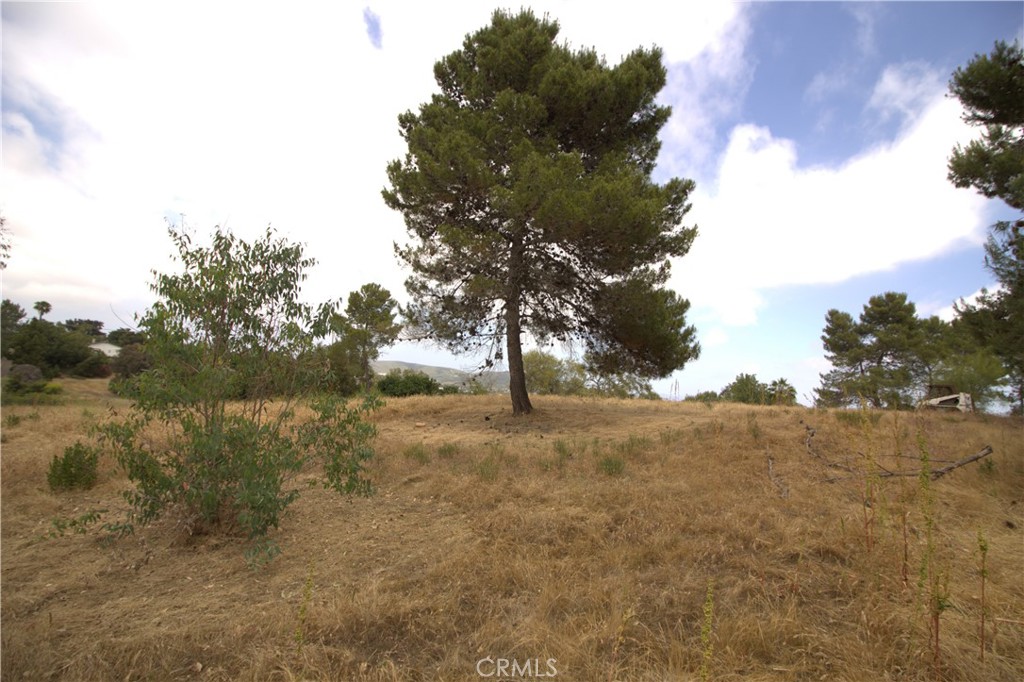 Linda Vista Drive - photo 10