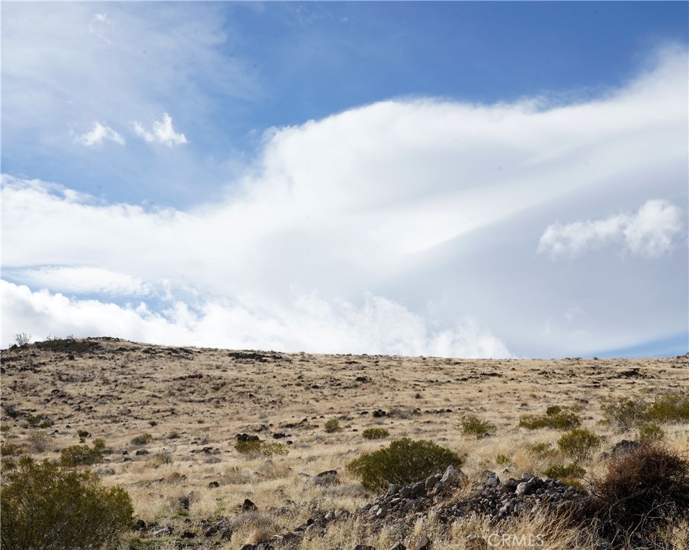 MLS #JT25189473 image #61